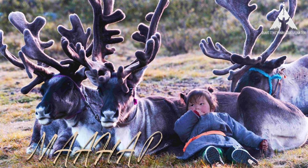 マーナル・ほんもののシャーマンが参加するイベント(1) | Jiguur