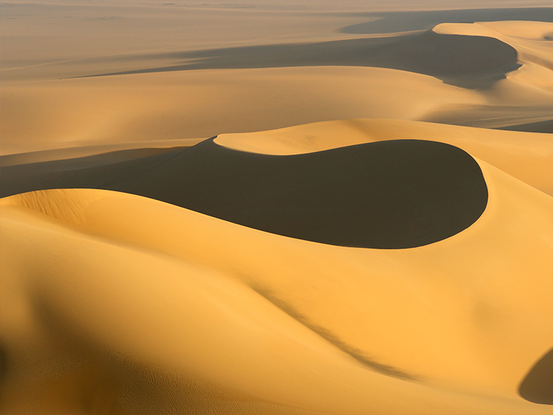 ラクダ・フェスティバル（南ゴビ県のボルガン村）(1) | Jiguur